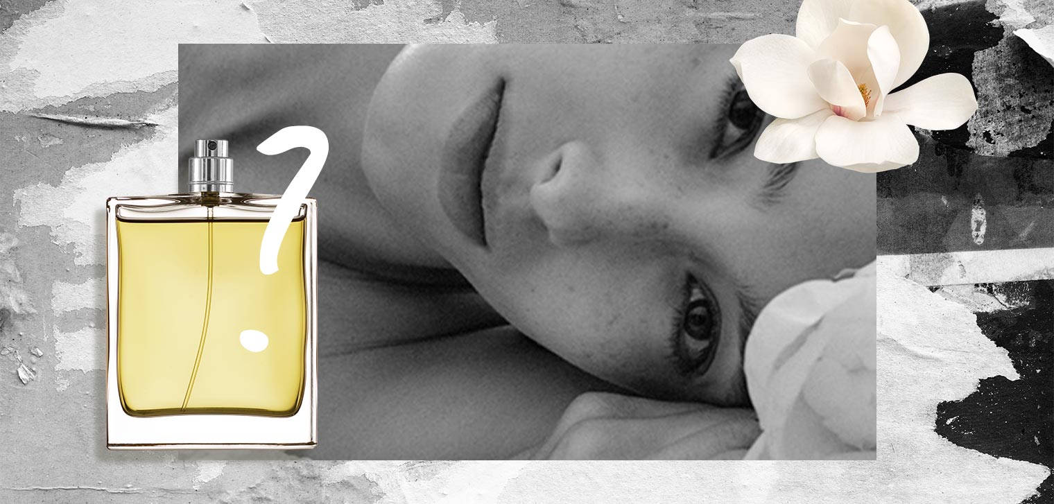 banner cabecera entrada perfumes originales